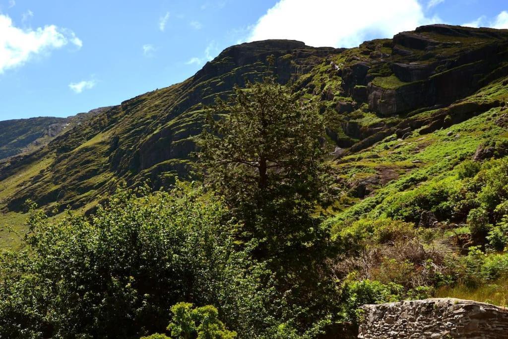 Secluded Cottage Nestled In The Beara Peninsula Cill Airne Kültér fotó